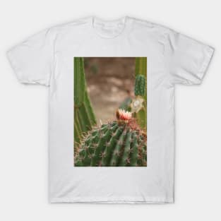 Closeup of Pink Cactus Flower T-Shirt